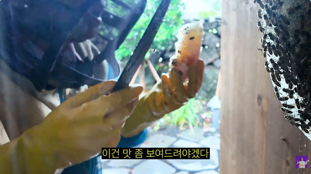 이벤트가 끊이지 않는 김숙의 제주도 집