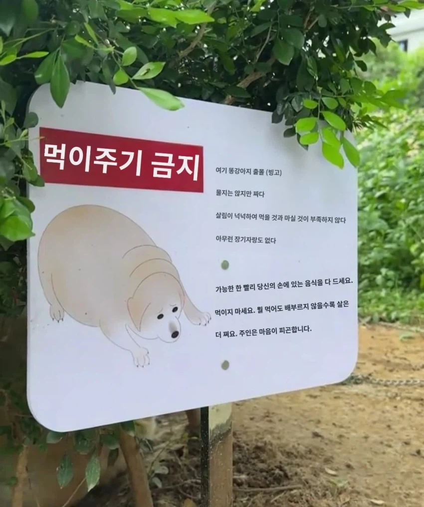 "먹이를 주지 마세요"