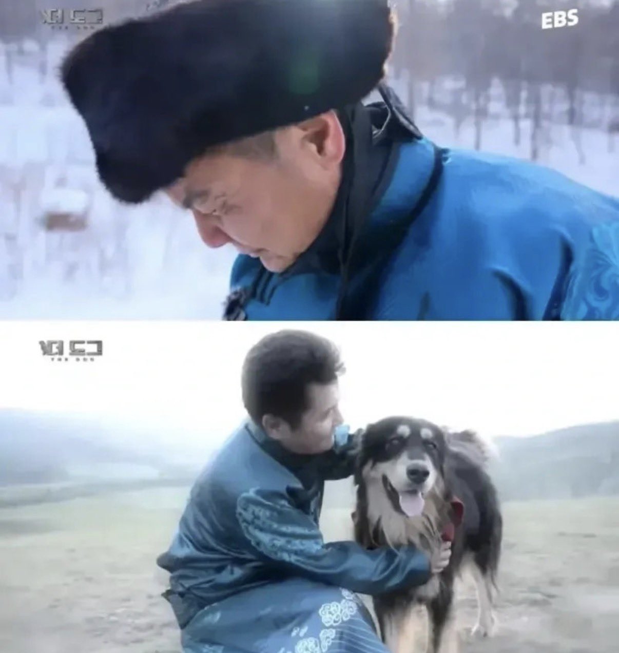 몽골인들이 반려견이 죽어도 슬퍼하지 않는 이유