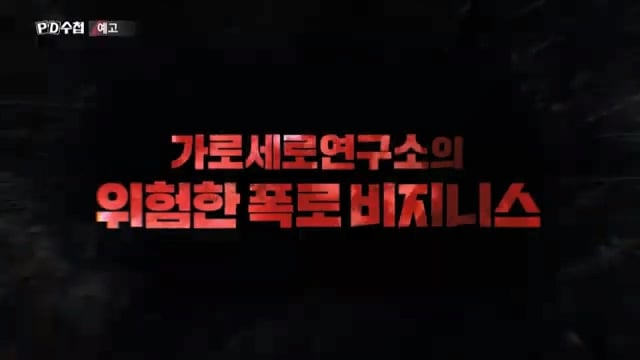 오늘 밤 PD수첩에서 대대적으로 다루는 가세연 김세의