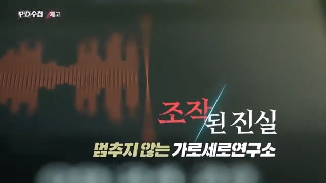 오늘 밤 PD수첩에서 대대적으로 다루는 가세연 김세의