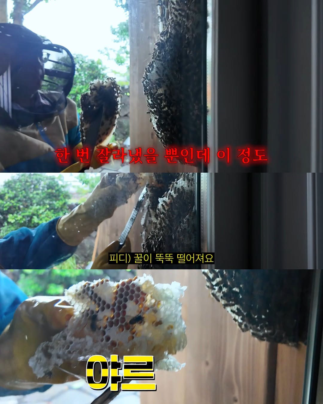 2주만에 제주도 집 갔다 119 부른 김숙