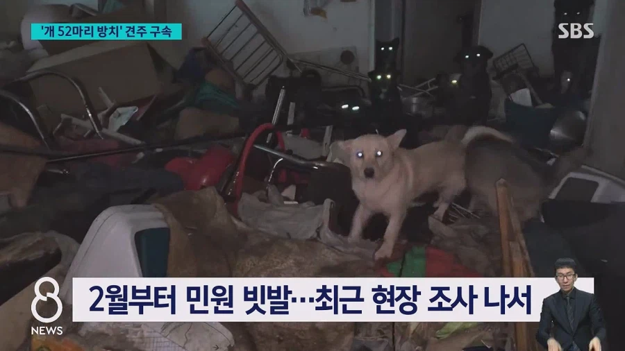 쓰레기로 뒤덮인 집에 반려견 수십 마리를 방치한 60대여성 구속