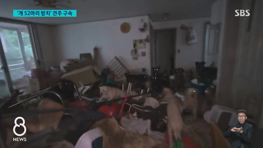쓰레기로 뒤덮인 집에 반려견 수십 마리를 방치한 60대여성 구속