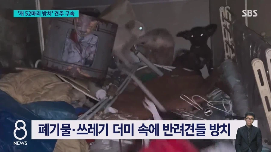 쓰레기로 뒤덮인 집에 반려견 수십 마리를 방치한 60대여성 구속