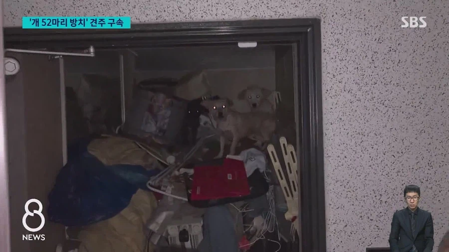 쓰레기로 뒤덮인 집에 반려견 수십 마리를 방치한 60대여성 구속