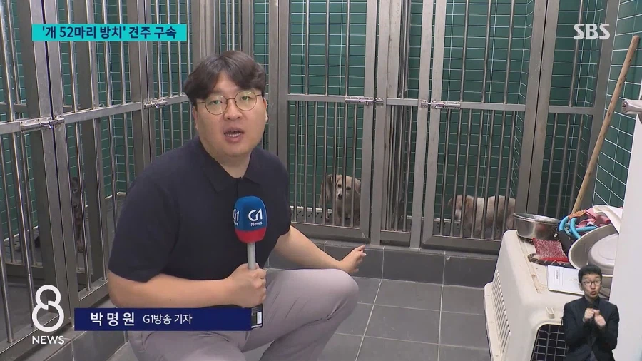 쓰레기로 뒤덮인 집에 반려견 수십 마리를 방치한 60대여성 구속
