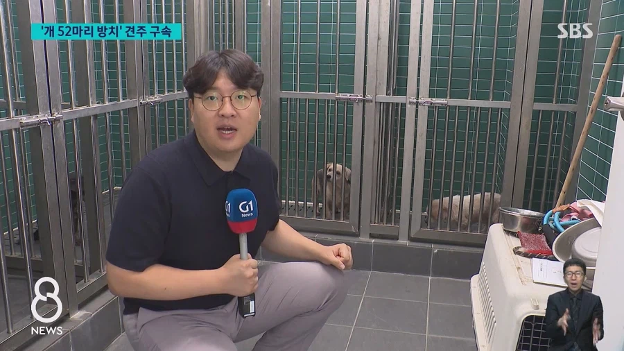 쓰레기로 뒤덮인 집에 반려견 수십 마리를 방치한 60대여성 구속