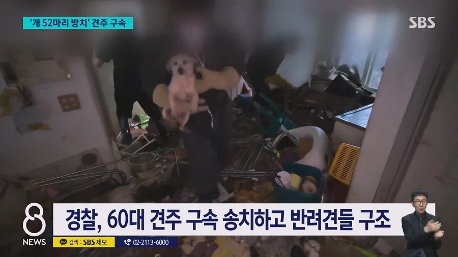 쓰레기로 뒤덮인 집에 반려견 수십 마리를 방치한 60대여성 구속