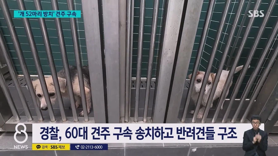 쓰레기로 뒤덮인 집에 반려견 수십 마리를 방치한 60대여성 구속