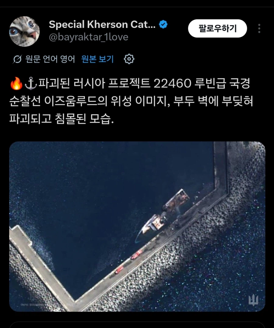 러시아군 함정 근황