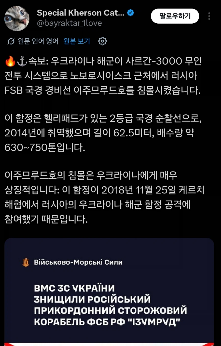 러시아군 함정 근황