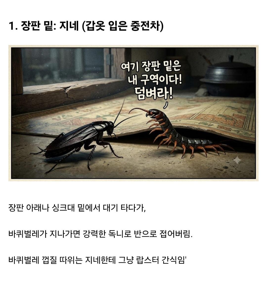 시골집에 오히려 바퀴벌레가 없는 이유