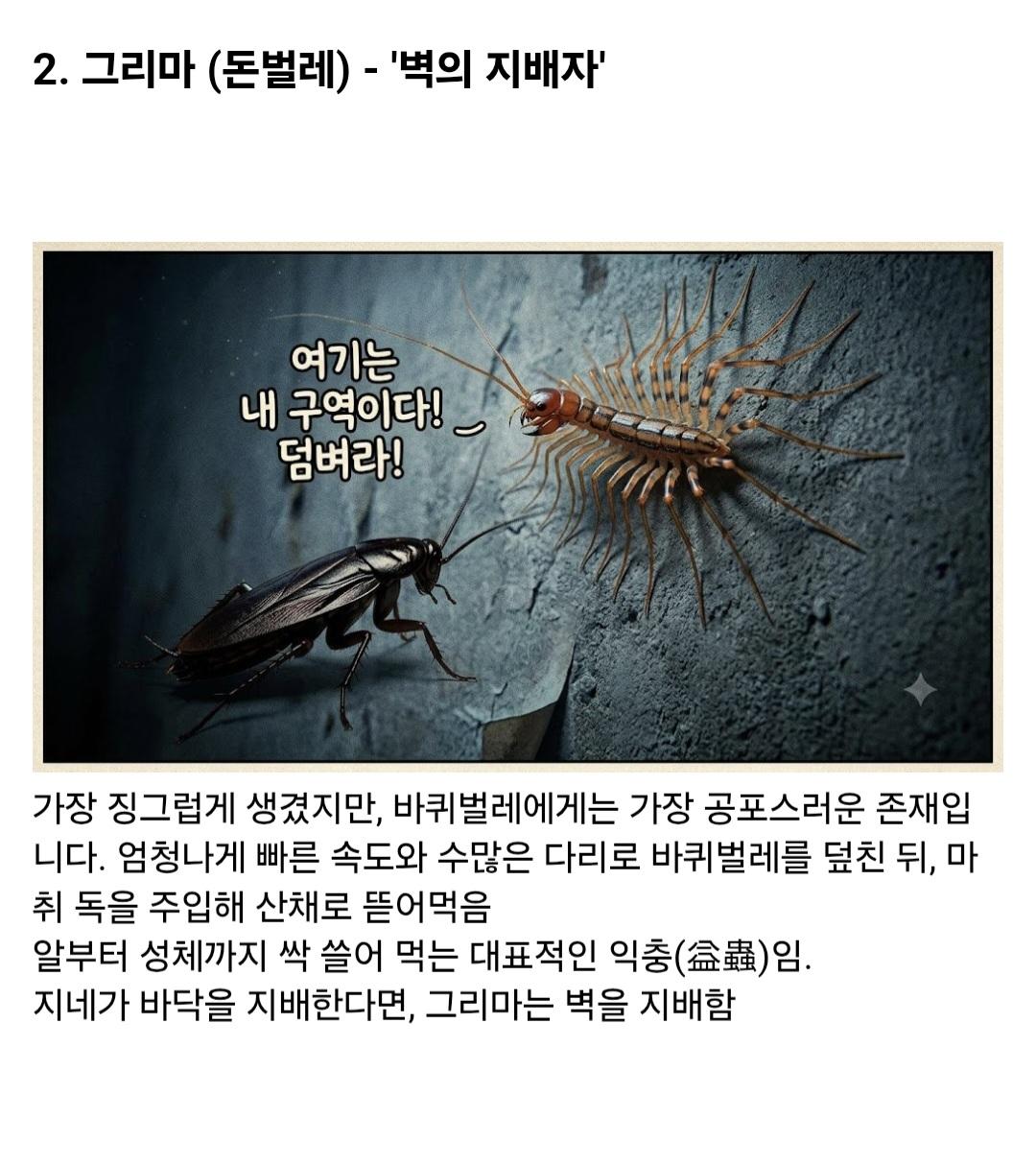 시골집에 오히려 바퀴벌레가 없는 이유