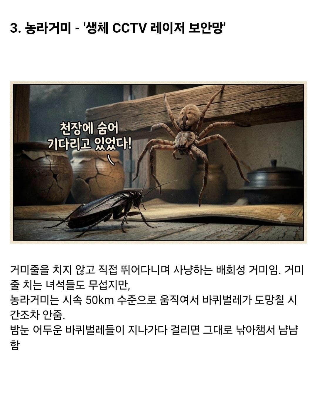 시골집에 오히려 바퀴벌레가 없는 이유