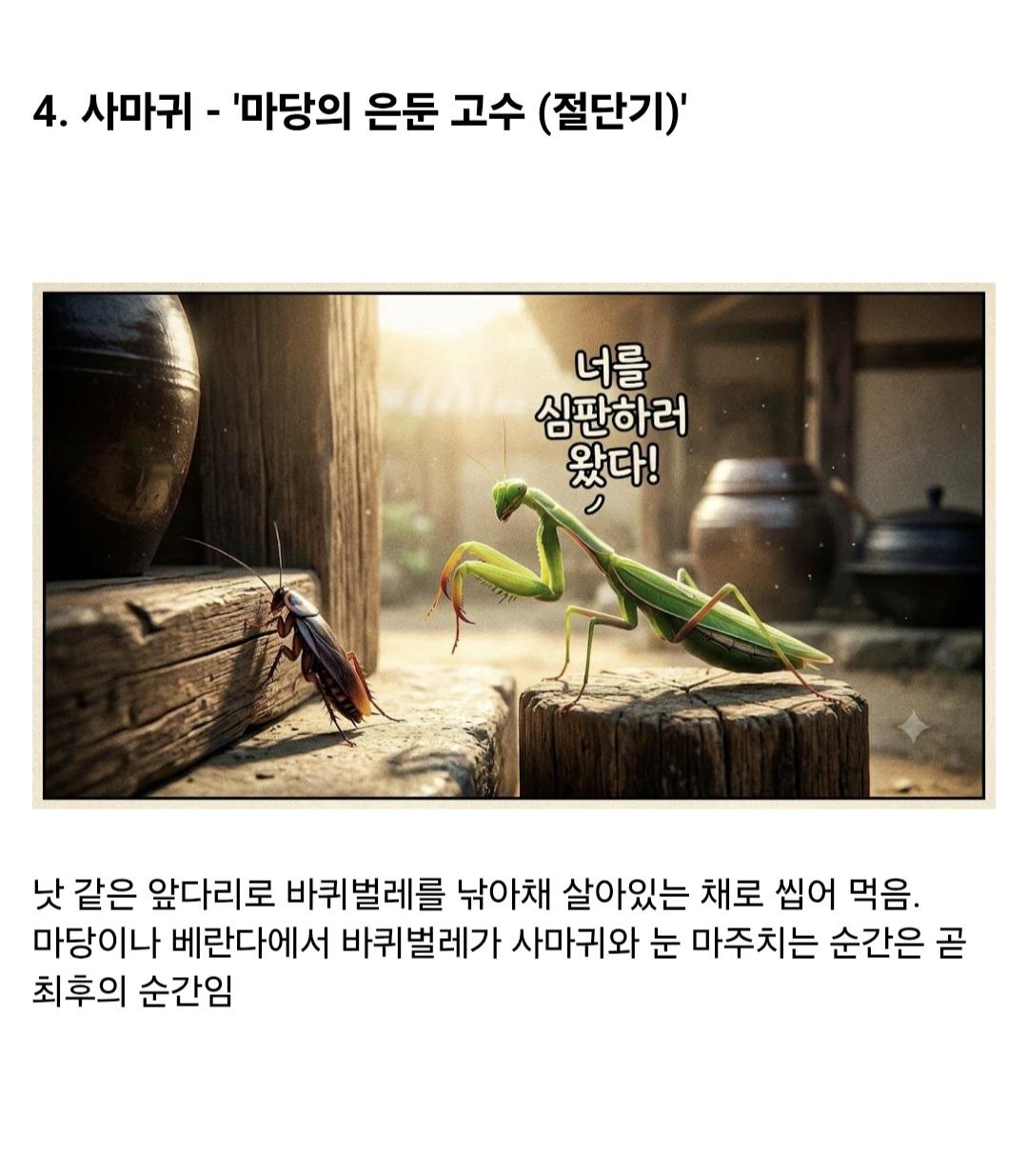 시골집에 오히려 바퀴벌레가 없는 이유