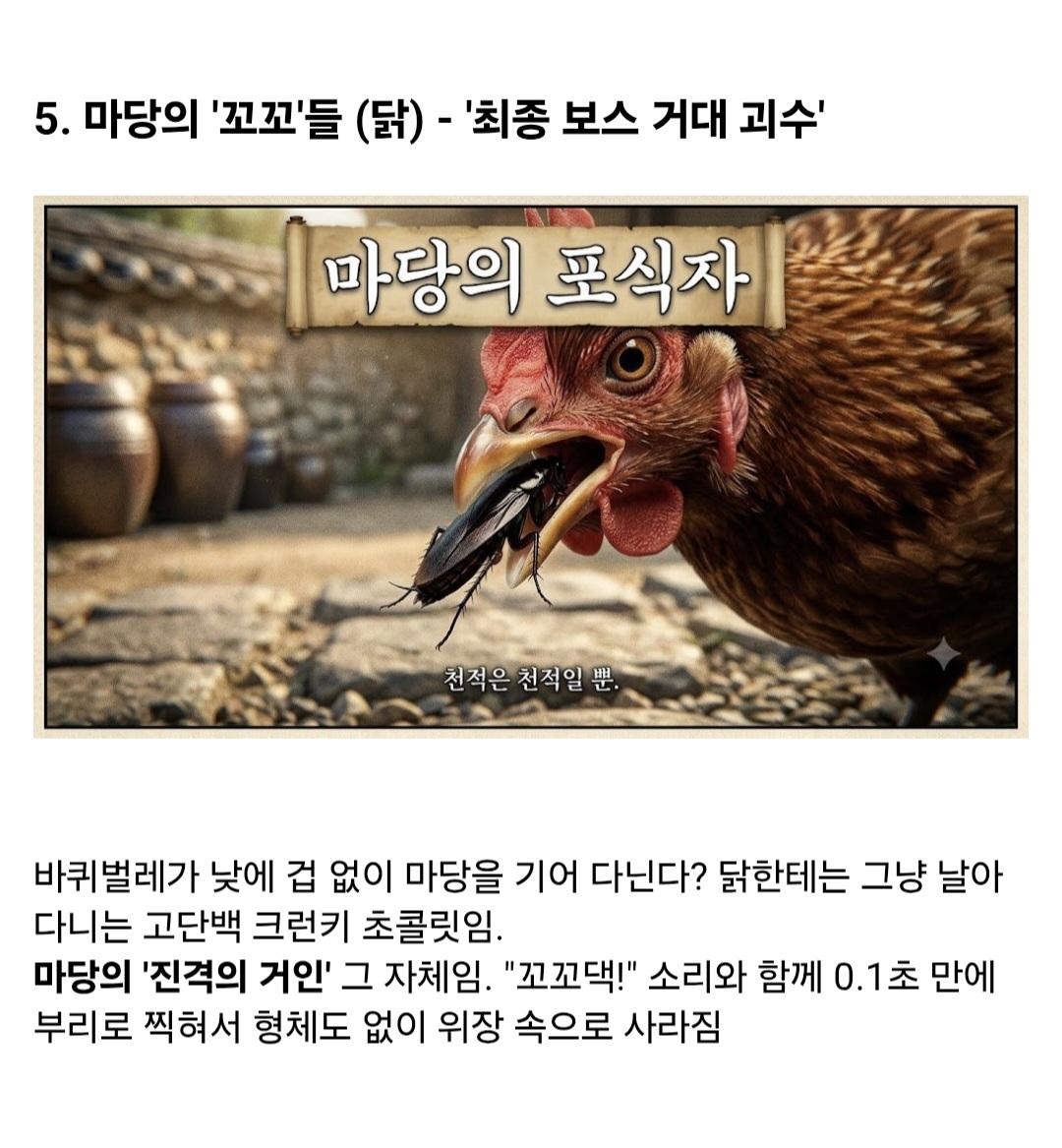 시골집에 오히려 바퀴벌레가 없는 이유