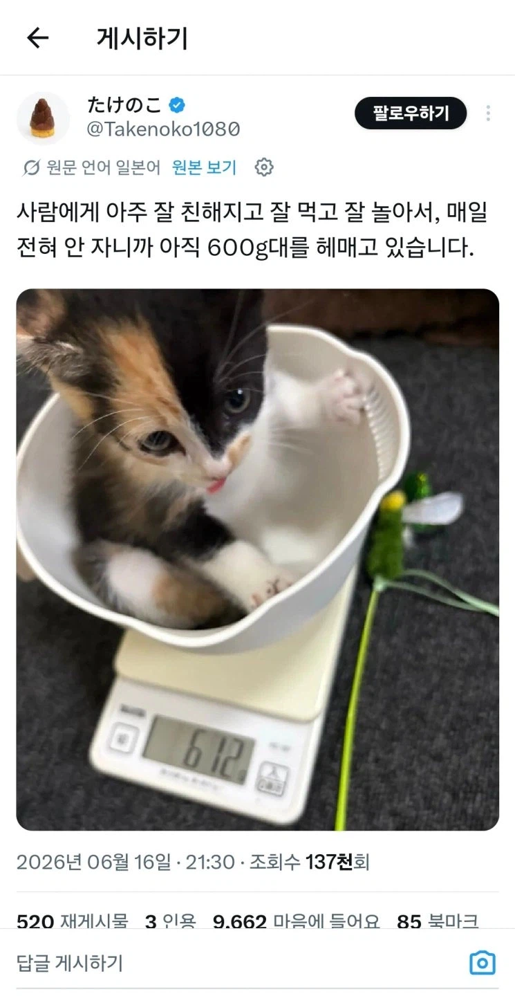 갑자기 나랑 결혼해줘서 고맙다는 남편