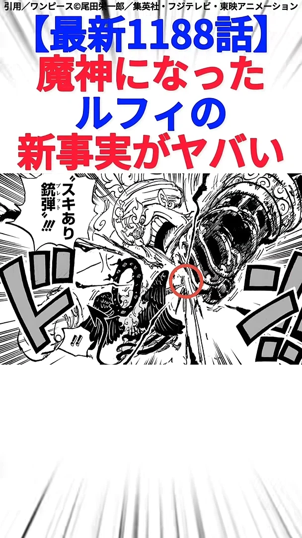 원피스 루피 최신 모습 근황 .jpg