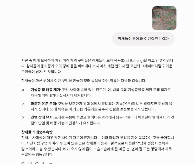 아파트 화단에 이상한 작은 분화구들이..