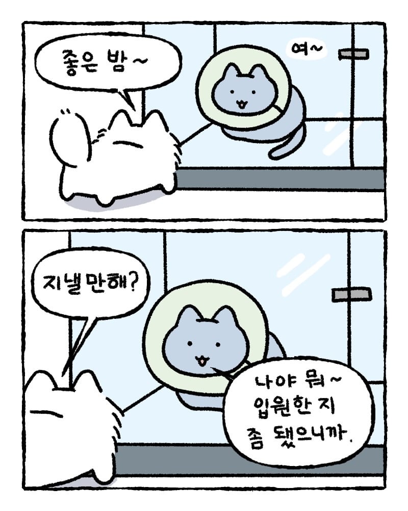 저희 집사한테 전해주시겠어요?