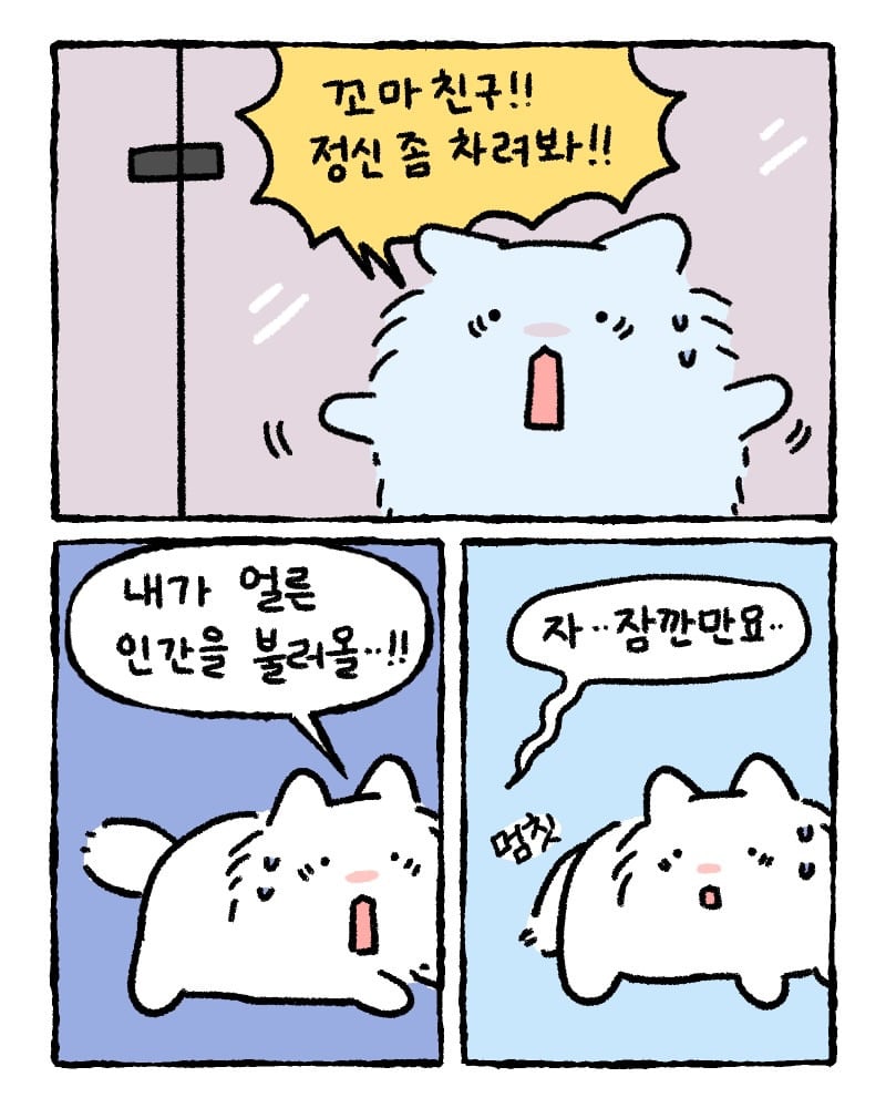 저희 집사한테 전해주시겠어요?