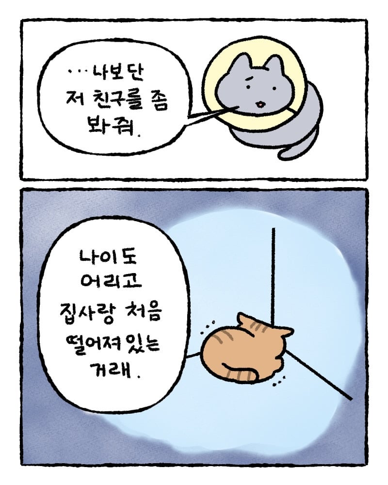 저희 집사한테 전해주시겠어요?