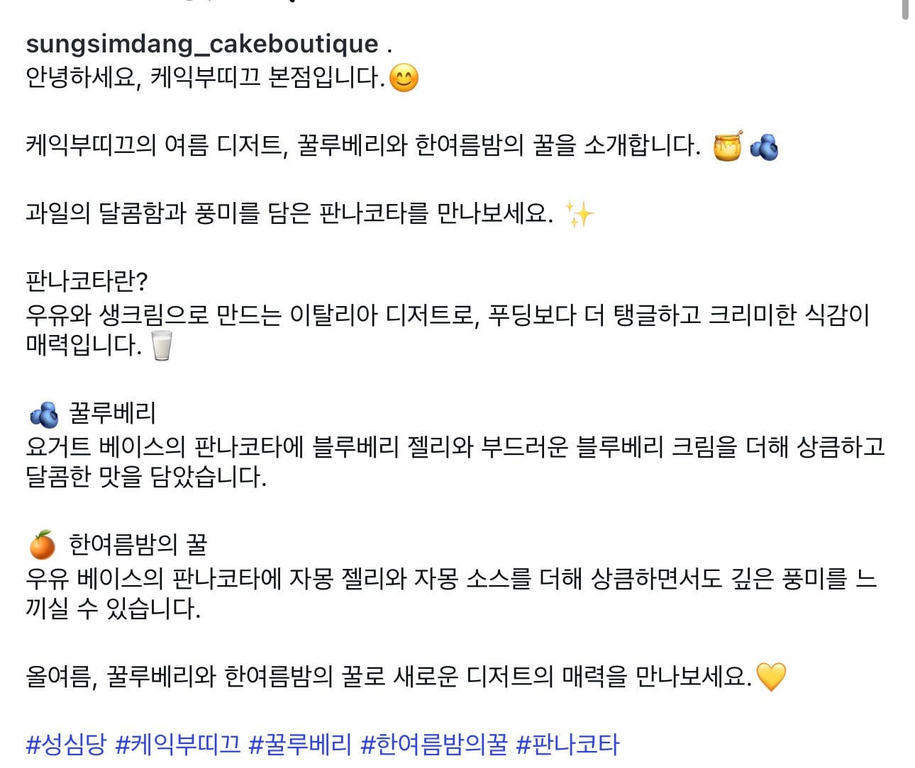 성심당 케익부띠끄 신상 꿀루베리, 한여름밤의 꿀 출시