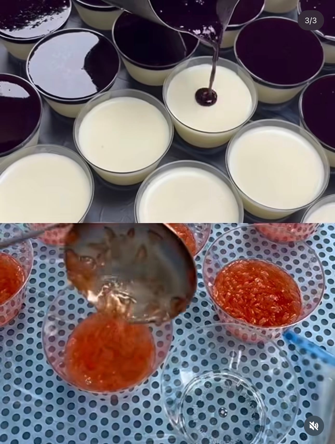 성심당 케익부띠끄 신상 꿀루베리, 한여름밤의 꿀 출시