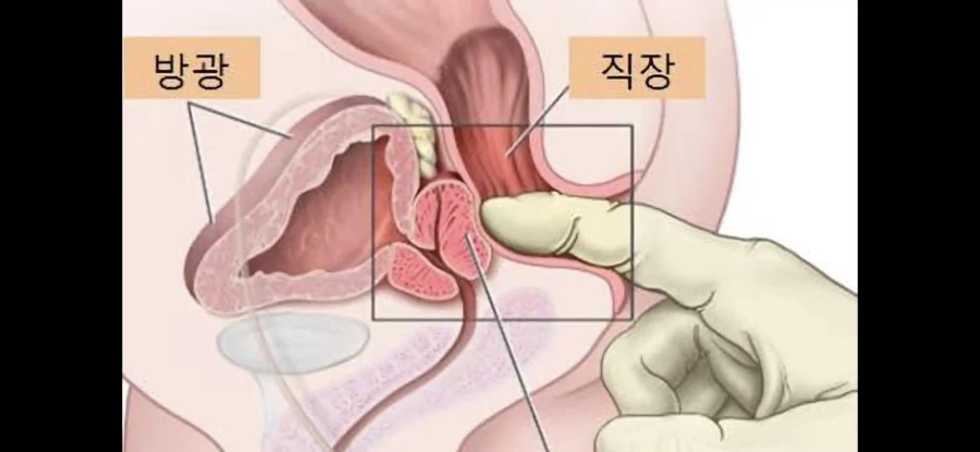 직장내 괴롭힘 당하는 사람 특