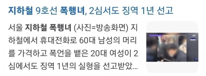 징역 1년 받은 4호선 뚝딱녀