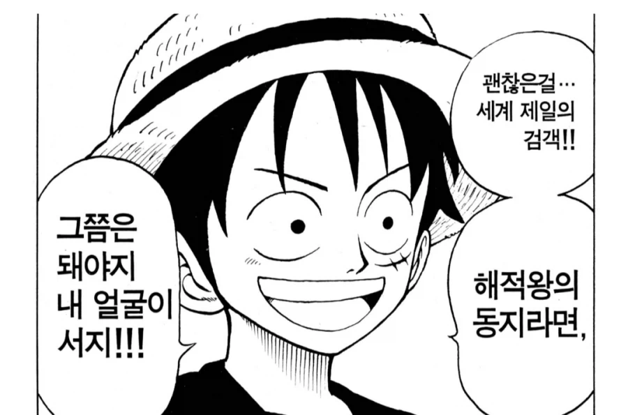 원피스) 뭔가 겹쳐보이는 장면