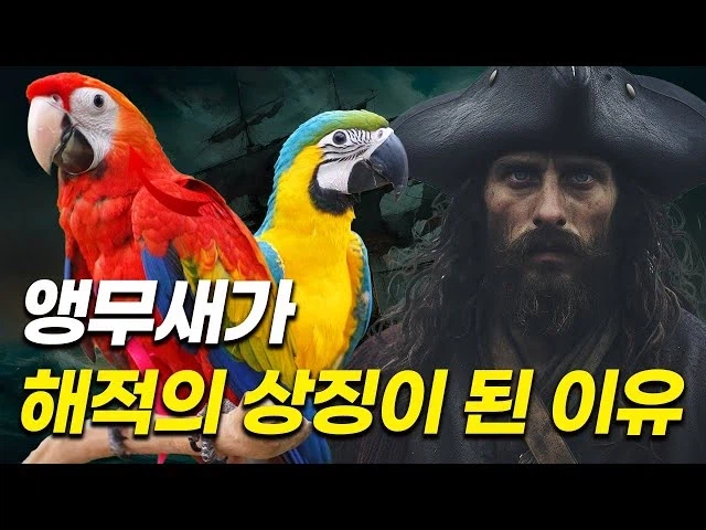 [원피스] 이무 = 앵무새 설이 도는 이유