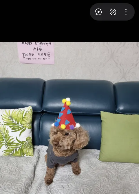 갤럭시 검색 수준이 이정도였나요?!