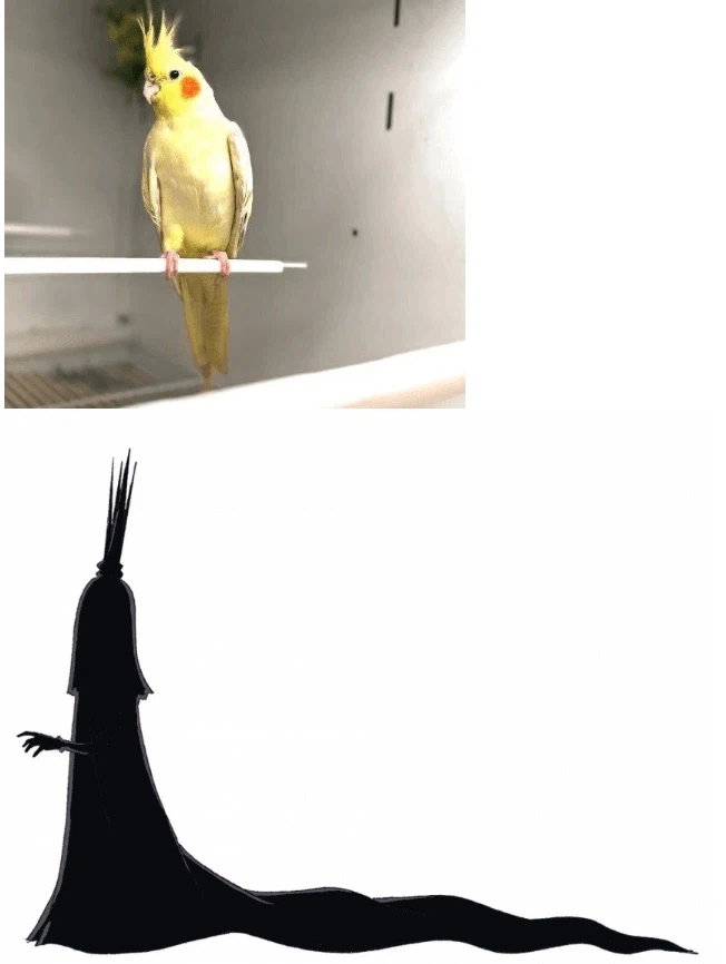 원피스) 이무=앵무새 설