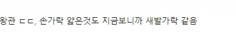 원피스) 이무=앵무새 설