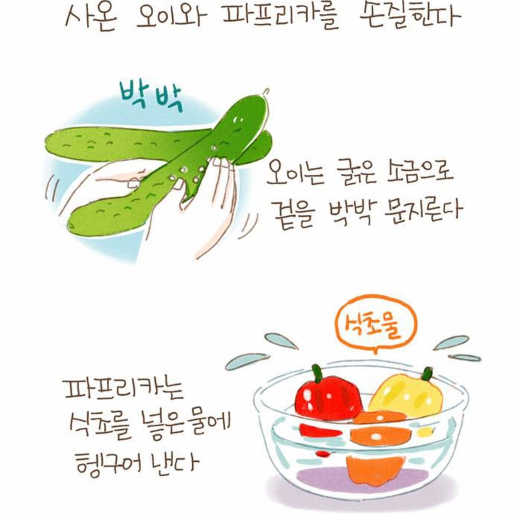 [네이버웹툰] 밥 먹고 갈래요? - 피클과 계란조림화