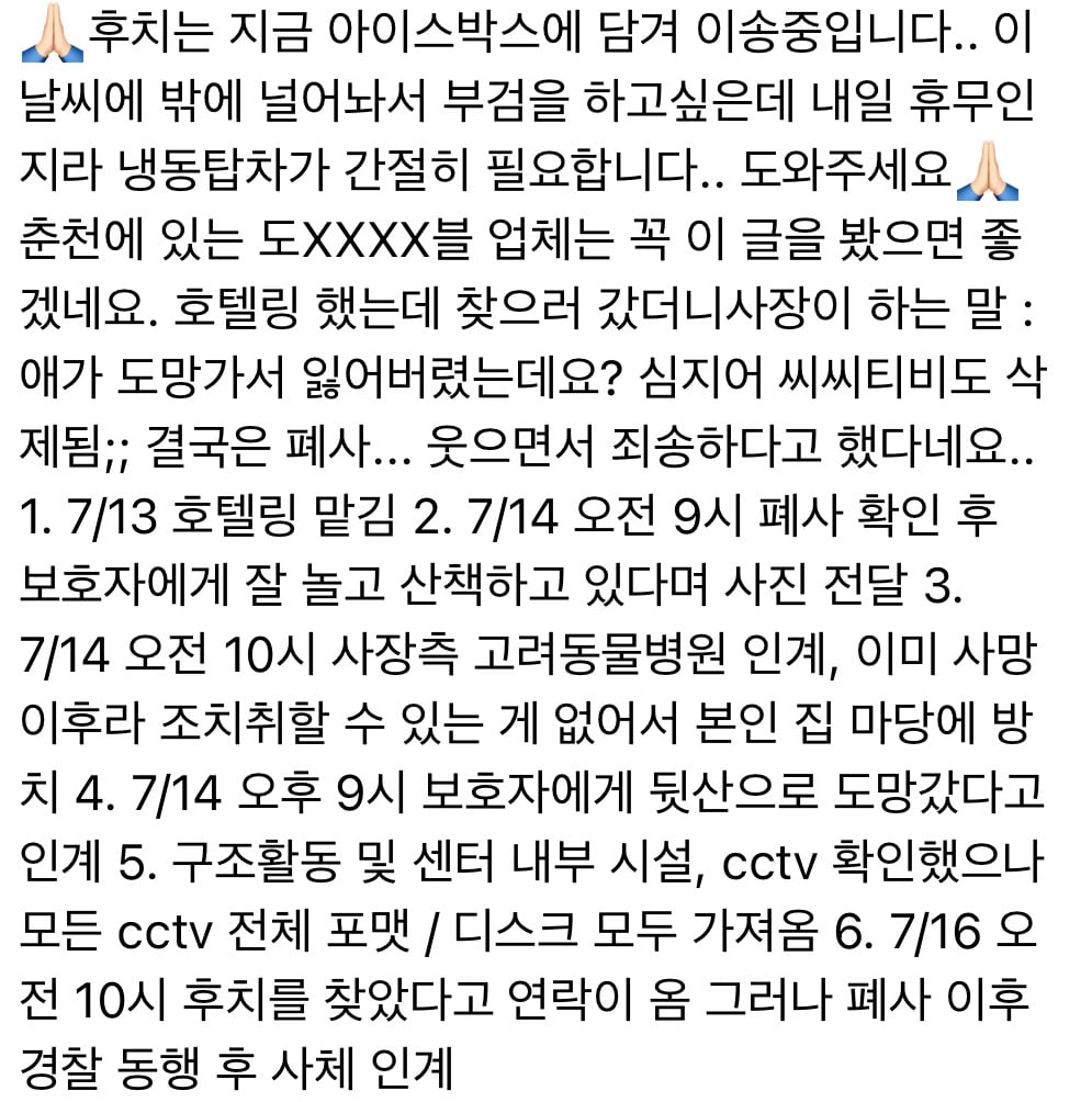 춘천 반려견 호텔링 중 사망 타임라인