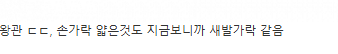 지금 거의 확정이라는 원피스 이무의 정체 .jpg