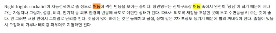 원피스) 앵무새썰이 사실이라면은