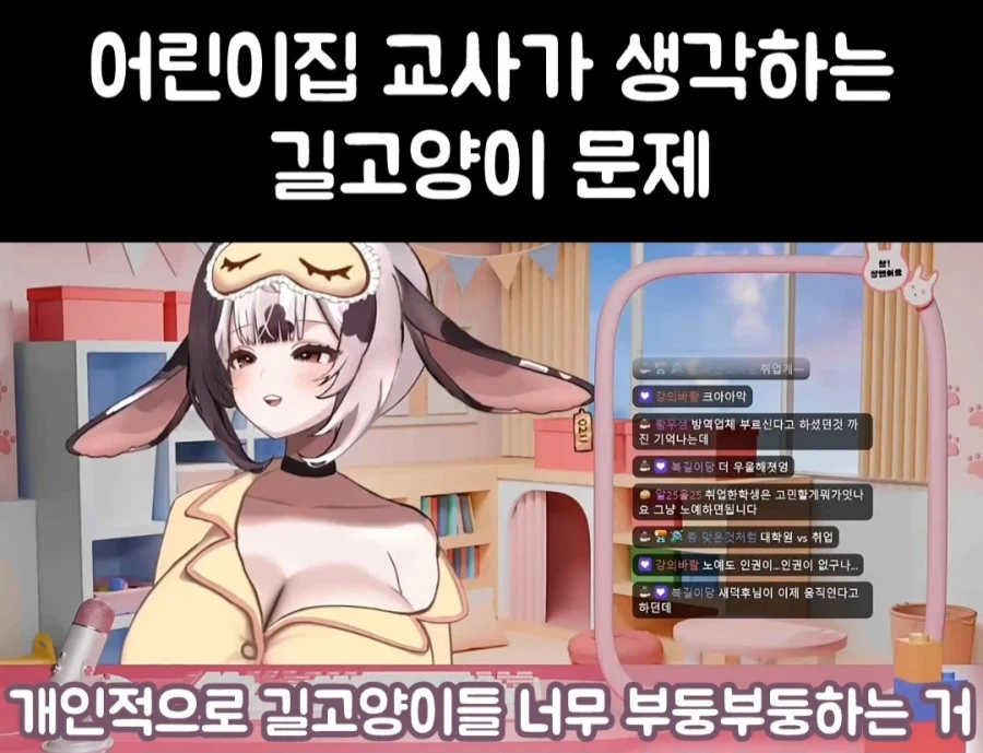 여성 방송인 "길고양이 너무 부둥거리는 거 안 좋아해"