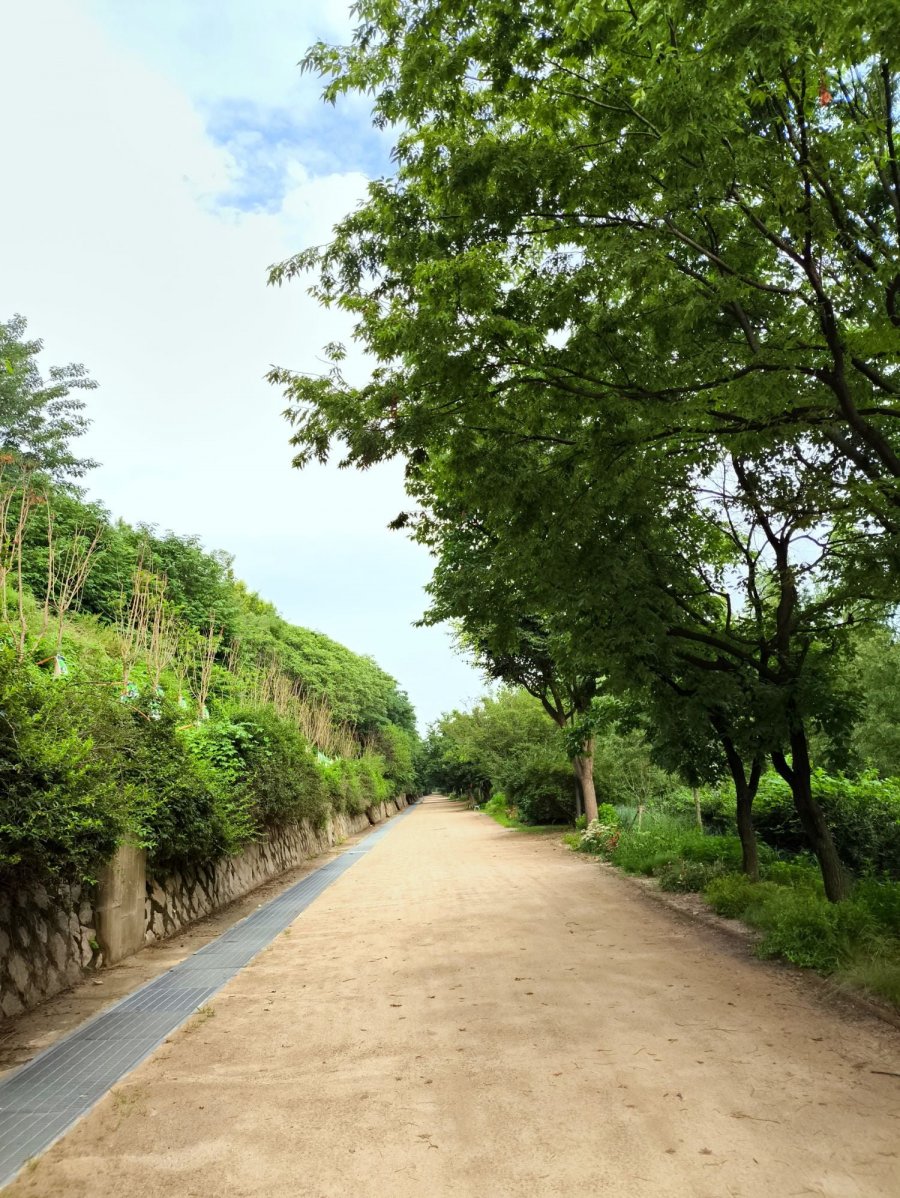 요 며칠은 덜 더운 것 같네요.
