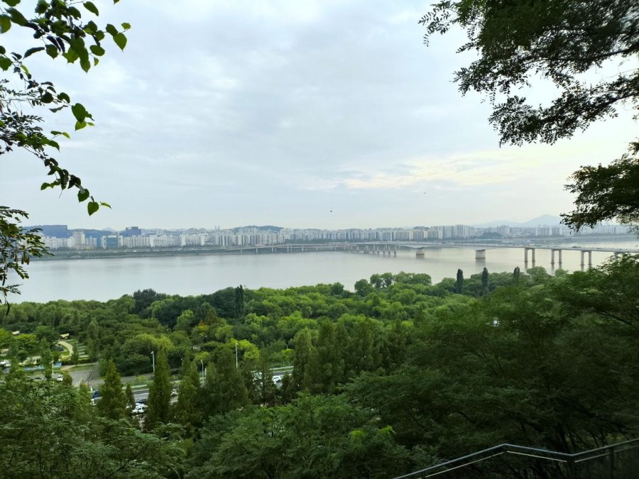 요 며칠은 덜 더운 것 같네요.