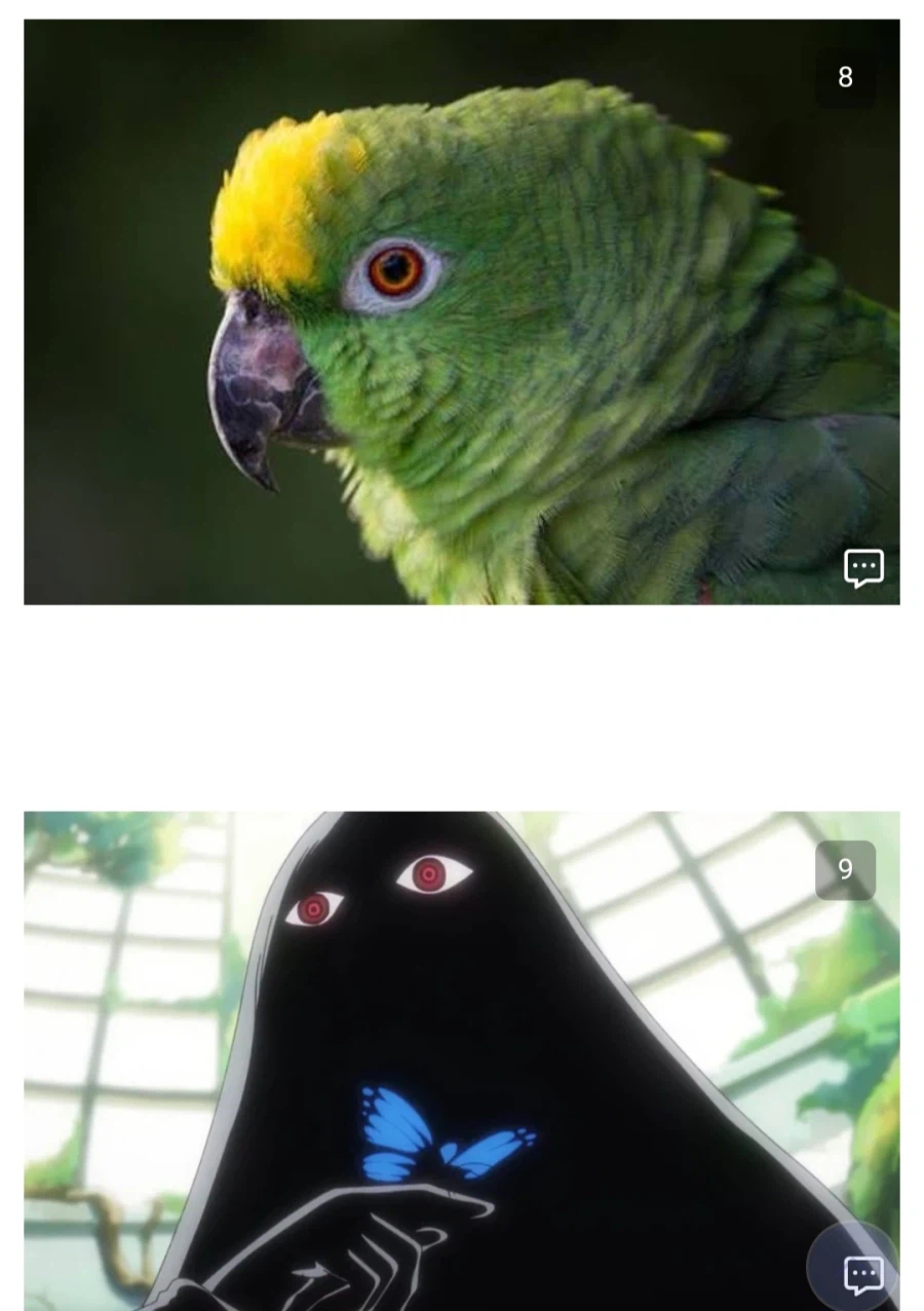 원피스)앵무새 찾으려니까 진짜 많네
