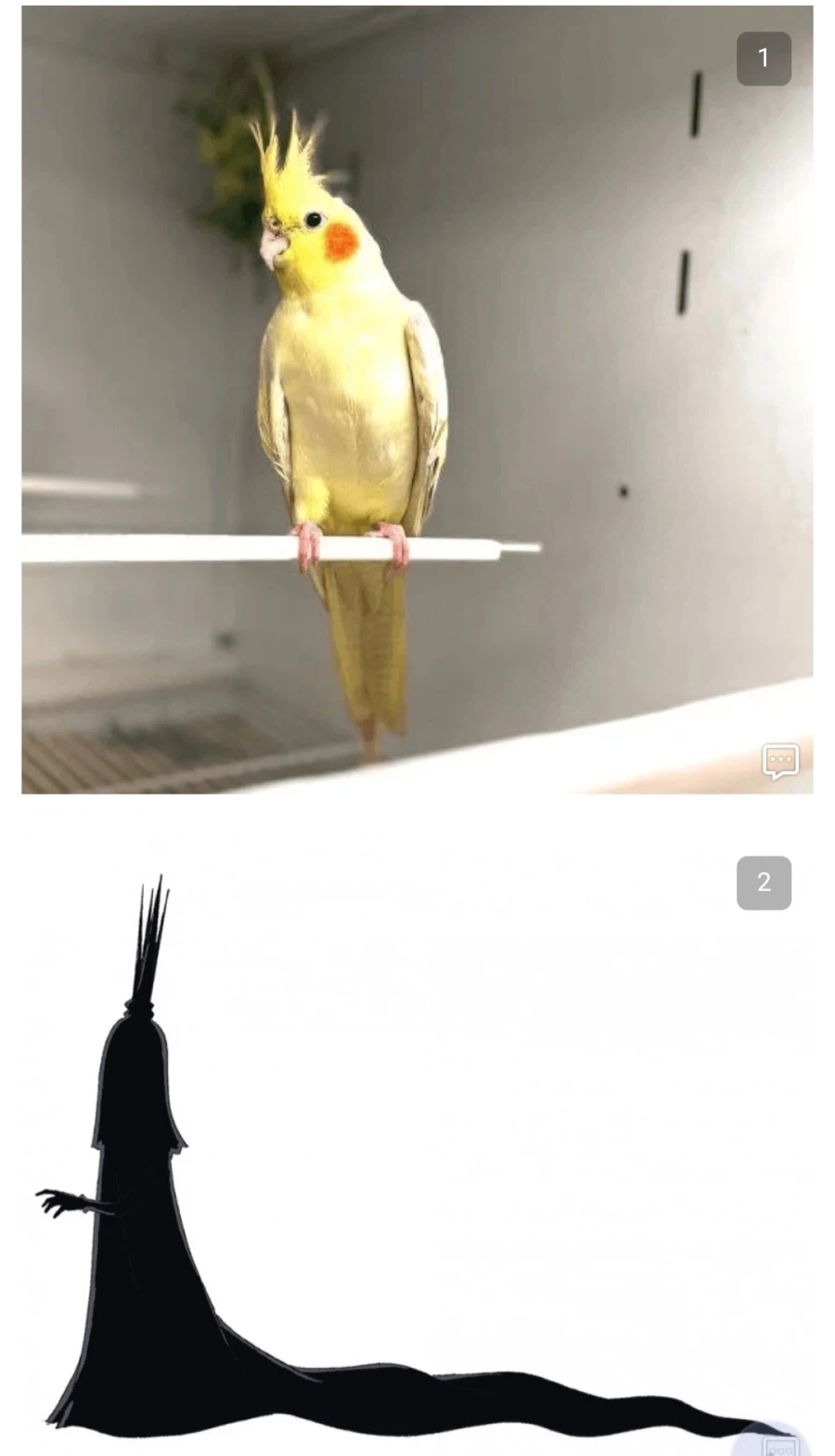 원피스)앵무새 찾으려니까 진짜 많네