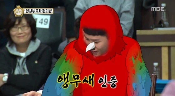 원피스 떡밥 요약