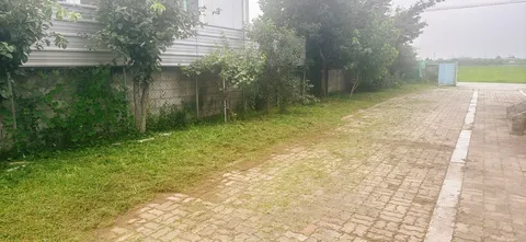 잡초와의 A매치 풀타임 뛰고 왔습니다