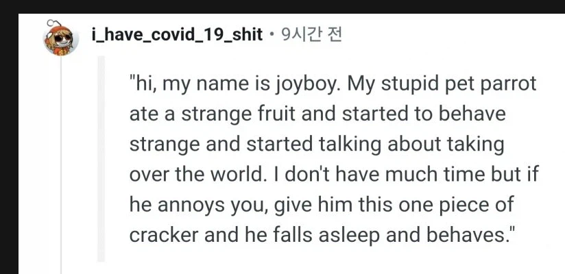 원피스 그 앵무새가 맞다면 원피스의 정체가 진짜 이런거란 말이냐???