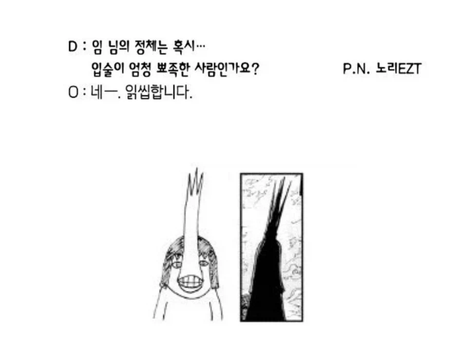 원피스 이무 앵무새론 정리