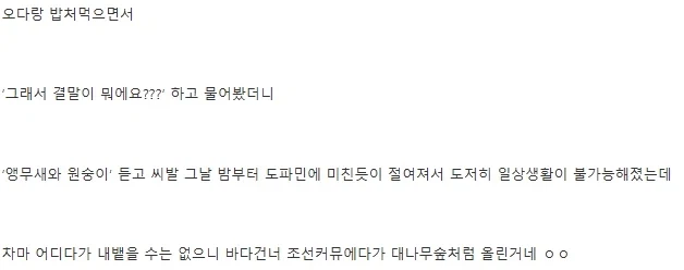 원피스 이무 앵무새론 정리